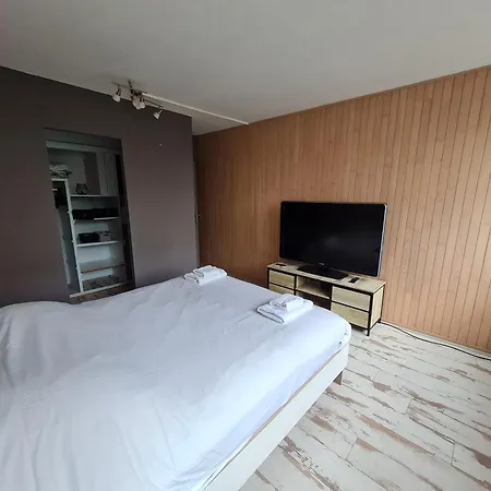 Apartamento Le Grand Palay - 4 - Proche Tarbes