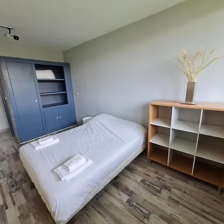 Apartamento Le Grand Palay - 4 - Proche Universite