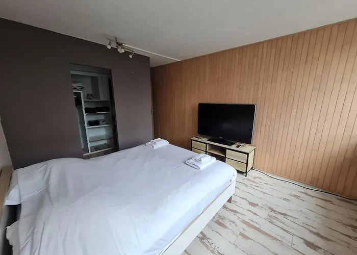 Apartamento Le Grand Palay - 4 - Proche Tarbes